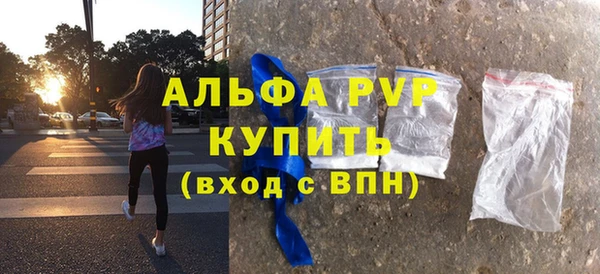 гашик Верея