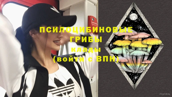 2c-b Верхний Тагил