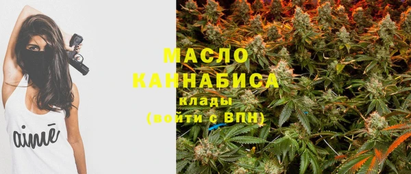 гашик Верея