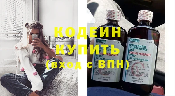 гашик Верея