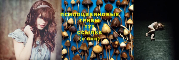 2c-b Верхний Тагил