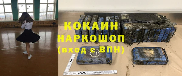 гашик Верея