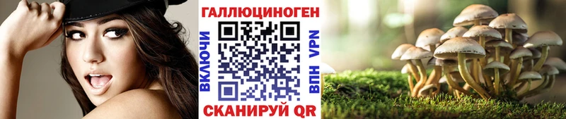 Купить  Полесск  Псилоцибиновые грибы ЛСД 