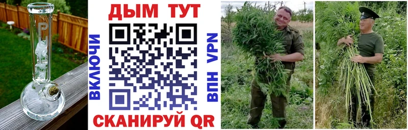 Купить где  Полесск  Бошки Шишки гибрид 
